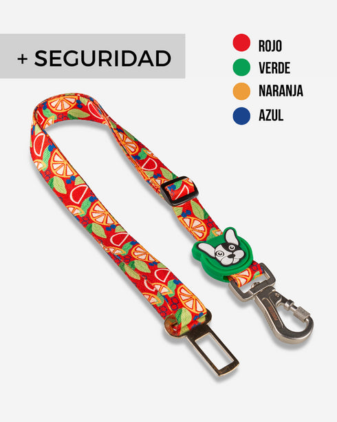 Cinturón de seguridad Frutal